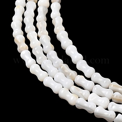 Нити бусин из натуральных пресноводных ракушек&nbsp;SHEL-A006-04A