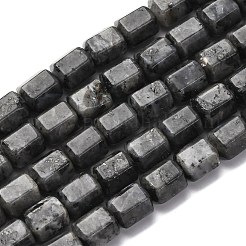 Натуральные нити бус из ларвикита G-R015-A04