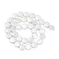 Brins de perles imitation perle en porcelaine électrolytique&nbsp;BSHE-Z009-02B