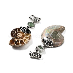 天然グリーンアベンチュリン化石カタツムリペンダント  合金パーツ  白金金属色  58~78x29~35x8~9mm  穴：4x6mm&nbsp;G-F062-02