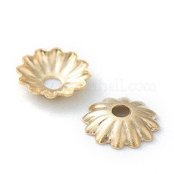 Capuchons de perles en acier inoxydable 304&nbsp;LS-STAS-H149-27G
