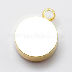 Гальванизированные природные друживые агатовые прелести G-P321-04G