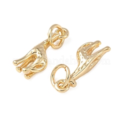 Messing Anhänger & Charms&nbsp;LS-KK-C143-17G