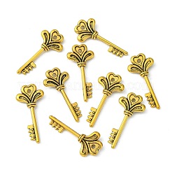 Tibetischer stil Aluminium Anhänger & Charms&nbsp;LS-TIBEP-12928-AG-LF