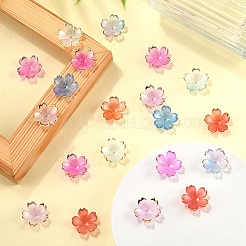 120шт 6 цвета акриловые колпачки для бусин&nbsp;OACR-YW0002-32