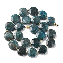 Природного апатита нитей бисера G-C116-A159-03