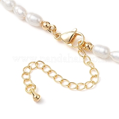 Ожерелья из натурального граненого круглого амазонита и рисового жемчуга для женщин&nbsp;NJEW-JN05816-04