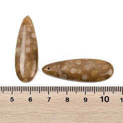 Pendentifs naturels de corail fossile&nbsp;G-B187-01C-05
