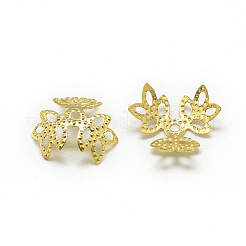 Покрытые железом причудливые шапочки для бусинок IFIN-S696-21G-1