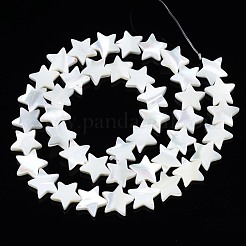 Нити бусин из натуральных трохоидных/трохус ракушек SSHEL-N034-96B-B01