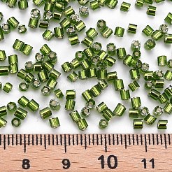 8/0 стекло стеклярусом SEED-S032-07A-55A