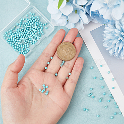 240 шт. натуральные бусины из говлита G-OC0004-66