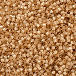 Perles miyuki delica&nbsp;SEED-X0054-DB2171