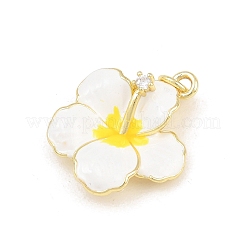 Pendentifs en laiton zircon cubique transparent&nbsp;LS-KK-CBADB87-14A-G