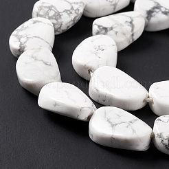 Fili di perline howlite naturale&nbsp;G-M208-13