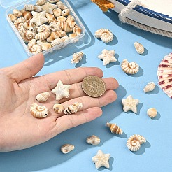 25 Stück 5 Stile handgefertigte Porzellan-Keramikperlen&nbsp;PORC-YW0001-85