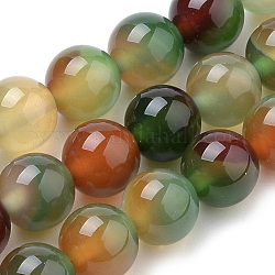 Brins naturels de perles d'agate de paon, teinte, ronde, 8mm, Trou: 1mm, Environ 50 pcs/chapelet, 15.7 pouce