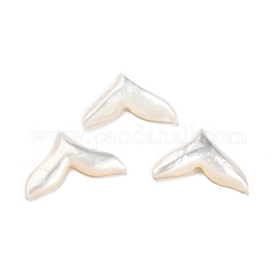 Cabochoni naturali di shell marini, coda di pesce, bianco, 8.5x13.5x2mm