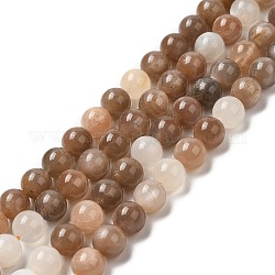 Brins de perles naturelles multi-pierre de lune, ronde, 8mm, Trou: 1mm, Environ 48 pcs/chapelet, 15.7 pouce