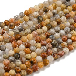 Natural Crazy Agate Beads Strands, Faceted, Round, 3mm, Hole: 1mm