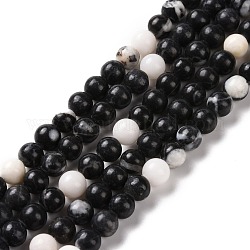 Chapelets de perles en zèbre naturel, ronde, 6mm, Trou: 0.9mm, Environ 65 pcs/chapelet, 15.16'' (38.5 cm)