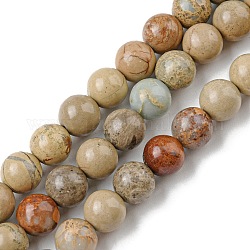 Chapelets de perles en jaspe aqua terra naturel, ronde, 14mm, Trou: 1.2mm, Environ 28~29 pcs/chapelet, 15.7 pouce (40 cm)