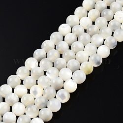 Brins de perles de coquillage blanc naturel, ronde, 5mm, Trou: 1mm, Environ 79~81 pcs/chapelet, 15.16 pouce ~ 15.75 pouces (38~40 cm)