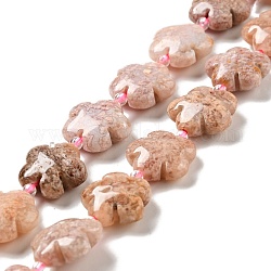 Brins de perles de jaspe océanique rose naturel/agate océanique, Flower 5 pétales, 14~15x14~15x6~7mm, Trou: 1.2mm, Environ 27 pcs/chapelet, 16.14'' (41~44.5 cm)