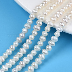 Fili di perle di perle d'acqua dolce coltivate naturali, patata, colore conchiglia, 3.5~4.5x4.5~6x4.5~5mm, Foro: 0.7 mm, circa 80~82pcs/filo, 13.94 pollice ~ 14.17 pollici (35.4 cm ~ 36 cm)