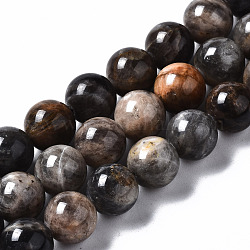Natural Black Sunstone Beads Strands, Round, 8~9mm, Hole: 0.9mm, about 47pcs/strand, 15.67 inch(39.8cm)
