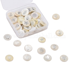 Naturali di acqua dolce pendenti shell, piatta e rotonda con il modello misto, bianco, 16x4mm, Foro: 1.2 mm, 12 modelli, 5pcs / modello, 60pcs/scatola