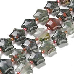 Naturelles africaines perles bloodstone brins, avec des perles de rocaille, étoiles du nord, 14~15.5x15~16x6.5~7mm, Trou: 1mm, Environ 24~25 pcs/chapelet, 15.55''~15.95'' (39.5~40.5 cm)