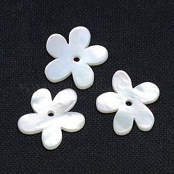 Cuentas de concha natural de blanco, Madre perla cuentas de concha, flor, blanco, 15x16x1mm, agujero: 1 mm