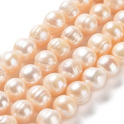 Hebras de perlas de agua dulce cultivadas naturales, patata, grado ab, peachpuff, 10~12x9~11mm, agujero: 0.6 mm, aproximamente 34 pcs / cadena, 13.98'' (35.5 cm)