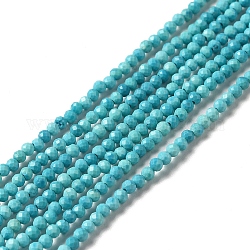 Natürliche Howlith Perlen Stränge, gefärbt, facettiert, Runde, Medium türkis, 2 mm, Bohrung: 0.6 mm, ca. 198 Stk. / Strang, 15.20 Zoll (38.6 cm)