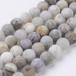 Chapelets de perles en agate de feuille de bambou naturelle, mat, ronde, 8mm, Trou: 0.8mm, Environ 47 pcs/chapelet, 15.3 pouce (39 cm)