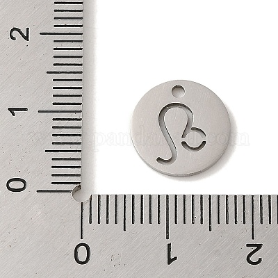 Не тускнеющие подвески из нержавеющей стали 201 STAS-E217-10P-10-1