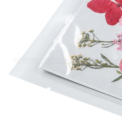 Прессованные сушеные цветы DIY-F076-01D-1