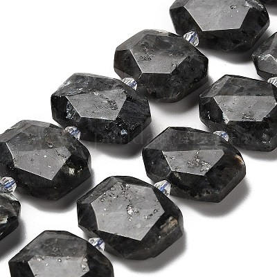 Натуральные нити бус из ларвикита G-H078-B06-01-1