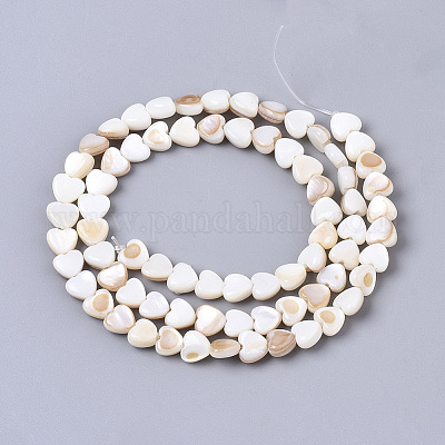 Натуральная оболочка трохида X-SSHEL-N034-66-1