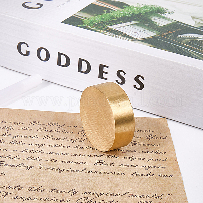 Латунное пресс-папье DJEW-WH20009-04G-1