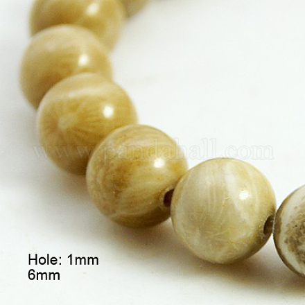 Chrysanthème naturel perles pierre / fossiles de corail brins G-D135-6mm-01-1