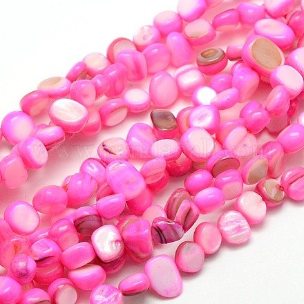 Dyed Natural Freshwater Shell Beads Strands SHEL-J003-08-1