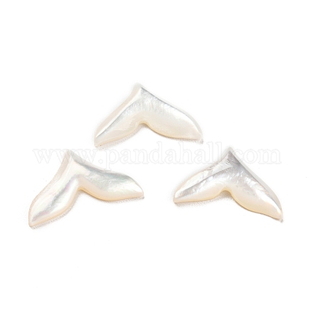 ナチュラルシーシェルカボション  魚の尾  ホワイト  8.5x13.5x2mm SHEL-D079-26-1