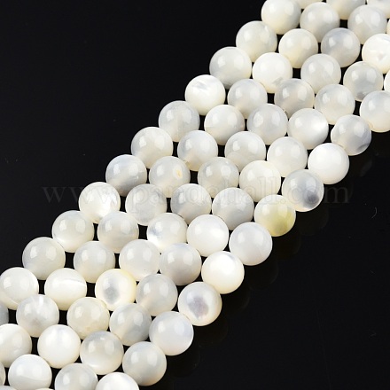 Fili di perline di conchiglia bianco naturale SSHEL-N003-144D-01-1