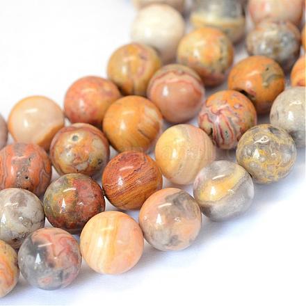 Agate folle naturel chapelets de perles rondes G-E334-6mm-20-1