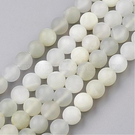 Natürliche weiße Mondstein-Perlenstränge G-G945-01-8mm-1