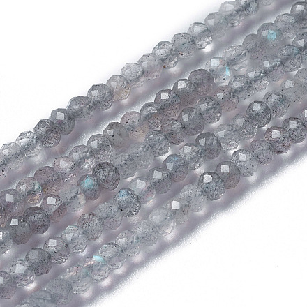 Chapelets de perles en labradorite naturelle  G-F596-07-1