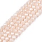 Electroplate Glass Beads Strands, Pearl Luster Plated, Faceted, Rondelle, Navajo White, 3.5~3.8x3mm, Hole: 0.4mm, about 105~110pcs/strand, 29~31cm