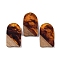 Resin & Wood Pendants, Arch Charms, Saddle Brown, 38x22.5x3.5mm, Hole: 2mm
